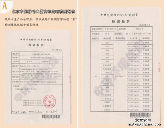 實際治理檢測報告