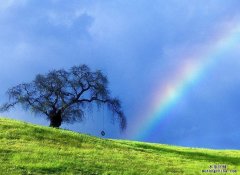 室內甲醛檢測值、大自然中的甲醛濃度、大城市